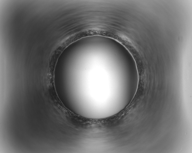 X0000089400822200706221116