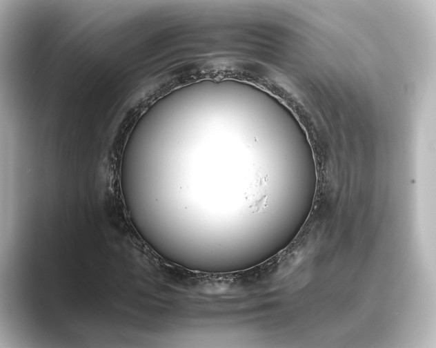 X0000089400823200706221116