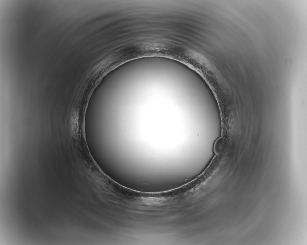 X0000089400825200706221116