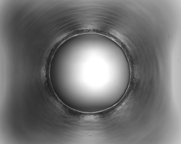 X0000089400826200706221116