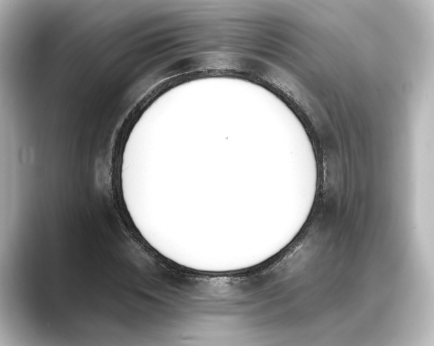 X0000089400828200706221116