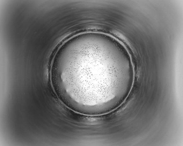 X0000089400829200706221116