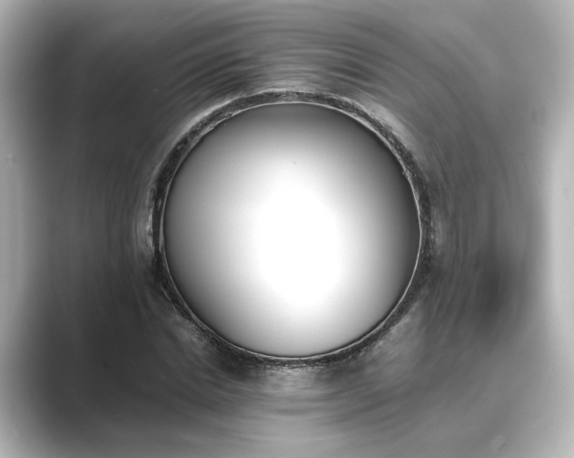 X0000089400830200706221116