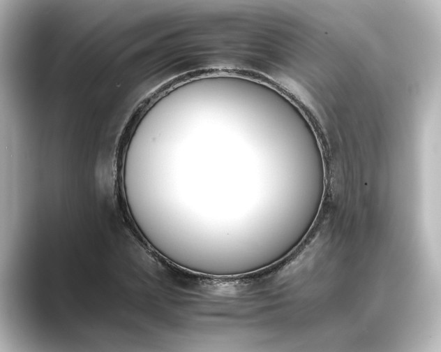 X0000089400831200706221116