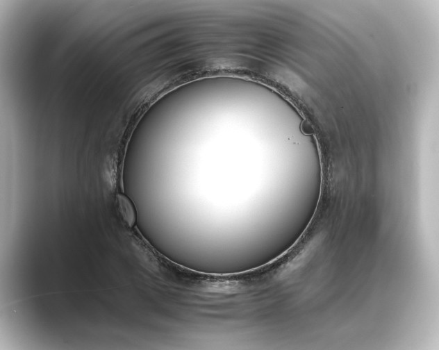 X0000089400833200706221116