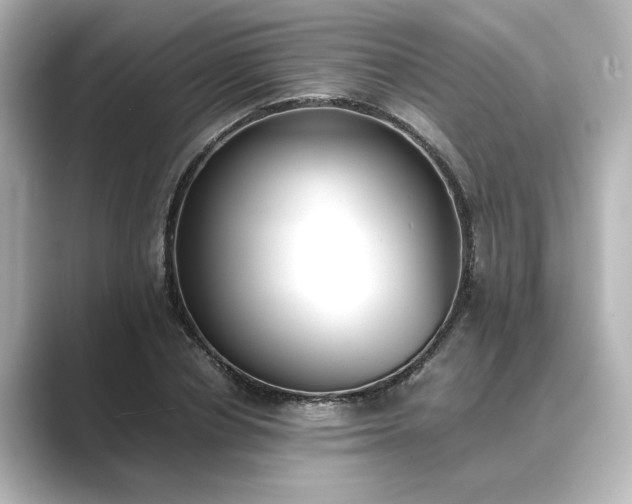 X0000089400834200706221116