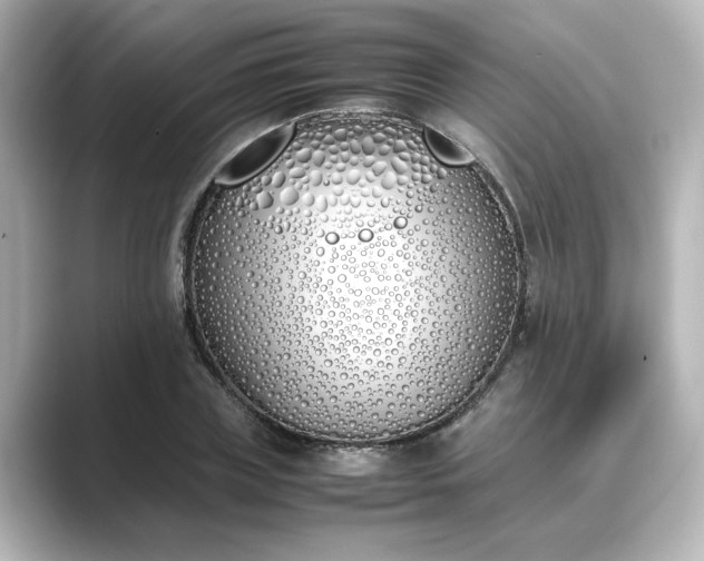 X0000089400835200706221116