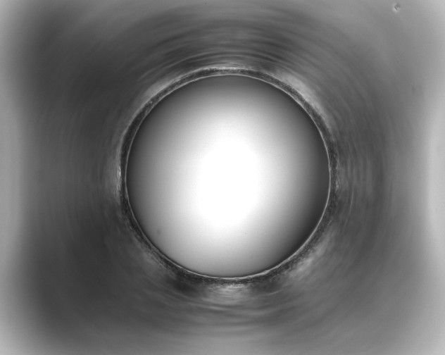 X0000089400837200706221116