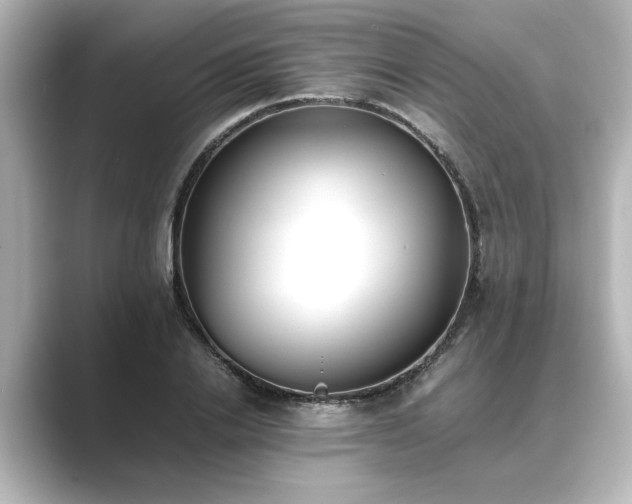 X0000089400838200706221116