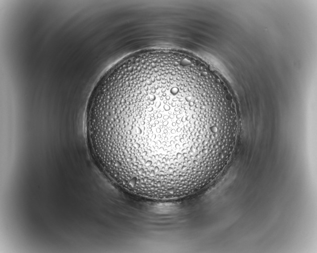 X0000089400839200706221116