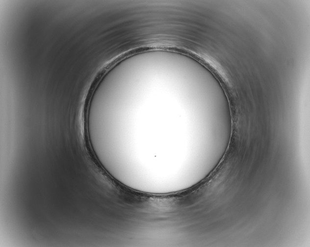 X0000089400840200706221116