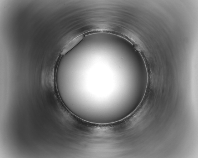 X0000089400842200706221116