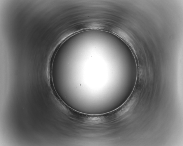 X0000089400843200706221116