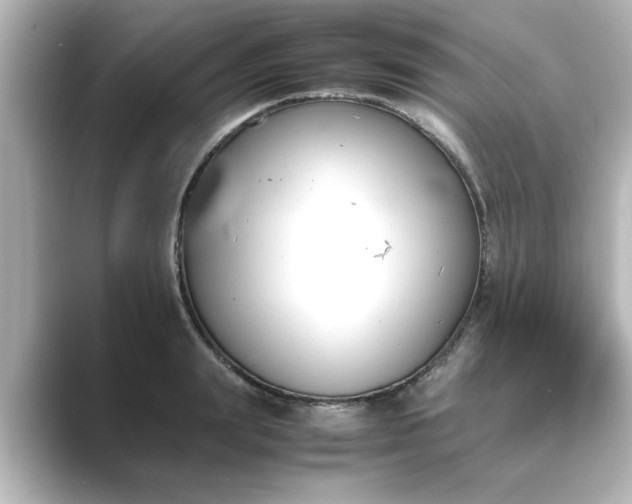 X0000089400847200706221116