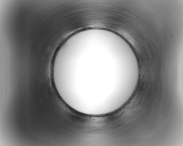 X0000089400848200706221116