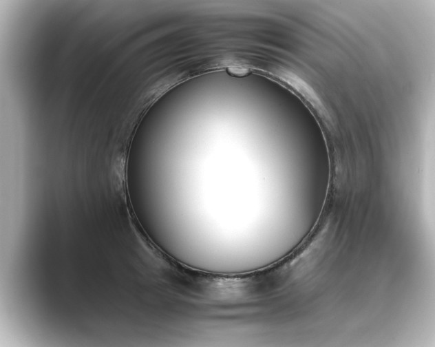 X0000089400849200706221116