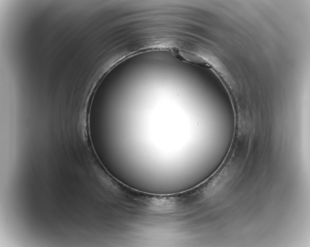 X0000089400850200706221116