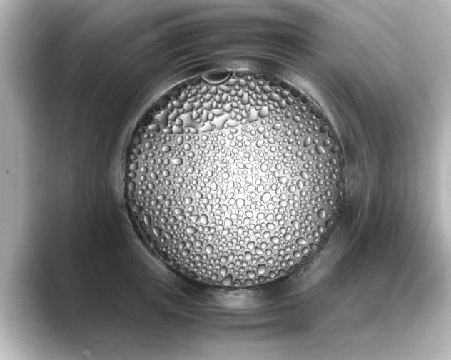 X0000089400851200706221116