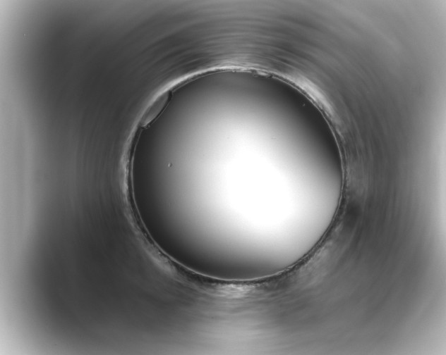 X0000089400854200706221116