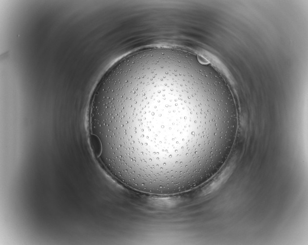 X0000089400855200706221116