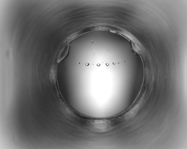 X0000089400857200706221116