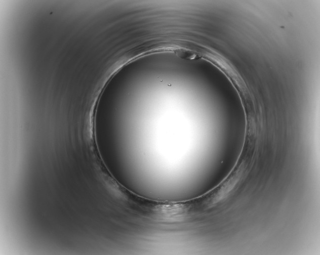 X0000089400858200706221116