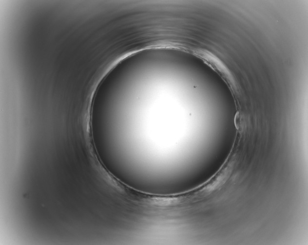 X0000089400860200706221116