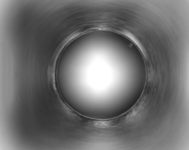 X0000089400861200706221116