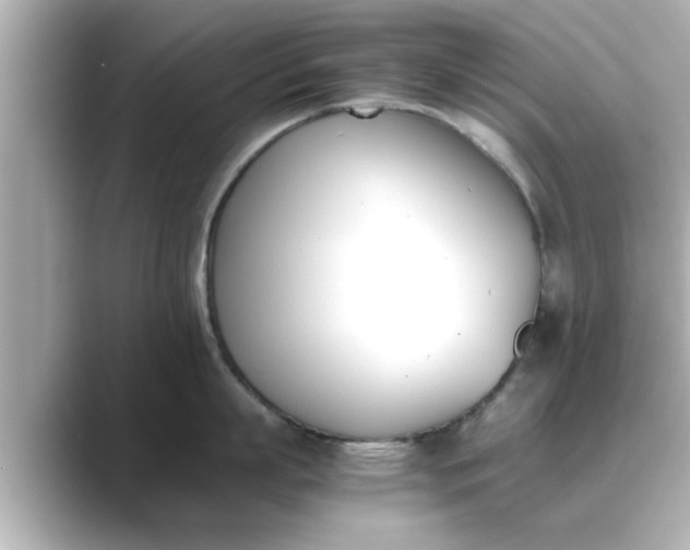 X0000089400863200706221116