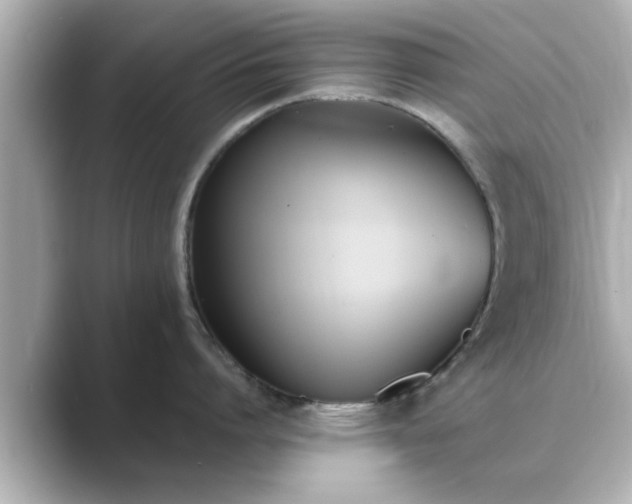 X0000089400864200706221116