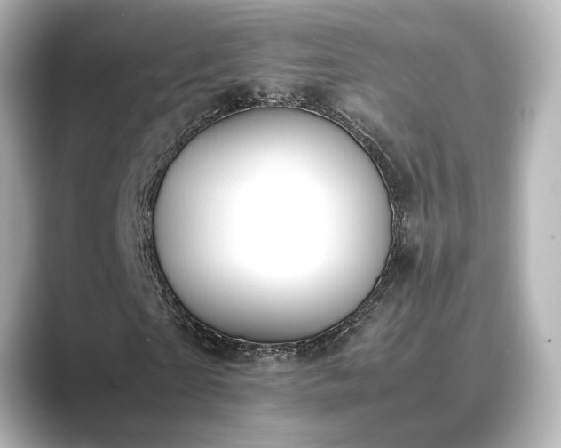 X0000089400865200706221116