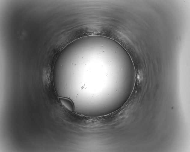 X0000089400867200706221116