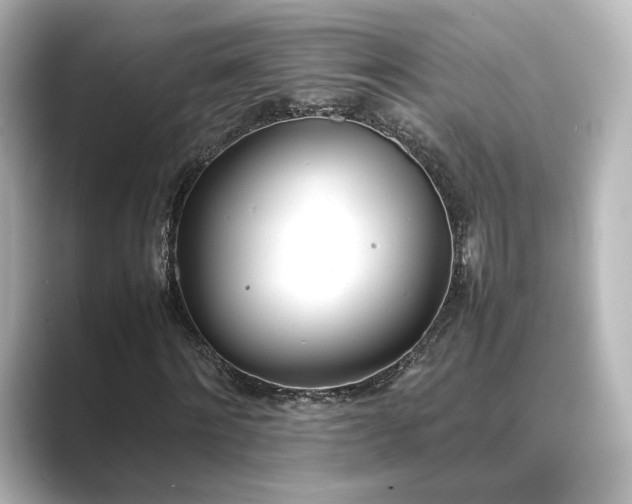 X0000089400868200706221116