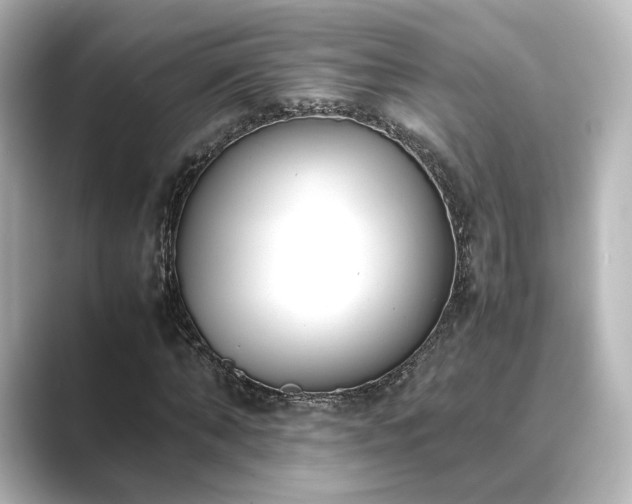 X0000089400870200706221116