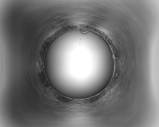 X0000089400871200706221115