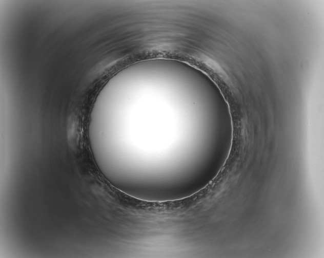 X0000089400872200706221115