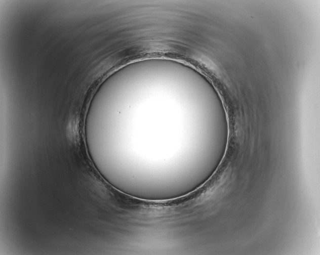 X0000089400873200706221115