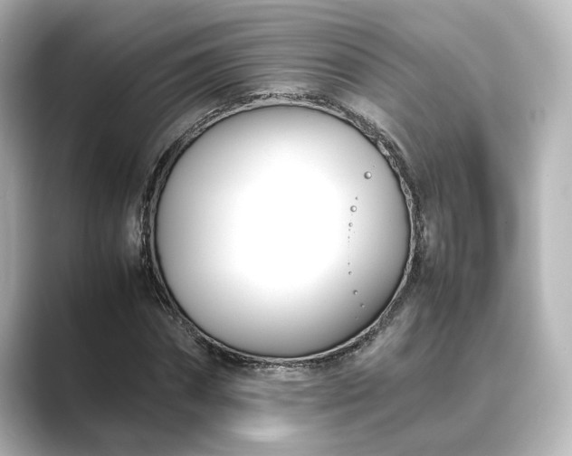 X0000089400874200706221115