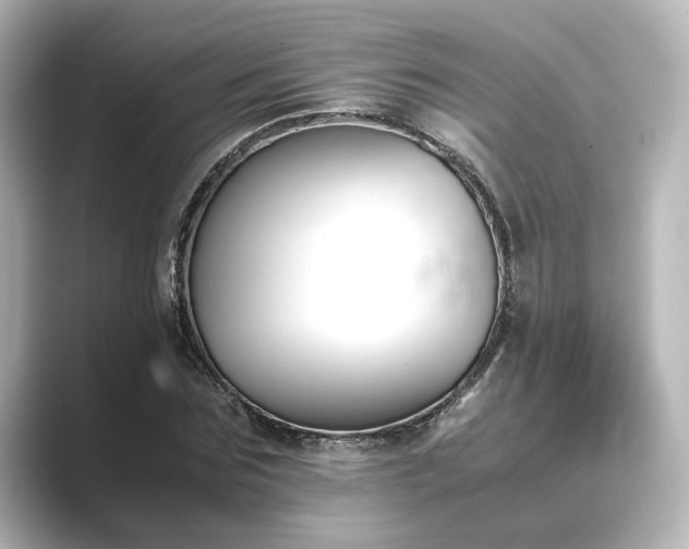 X0000089400875200706221115