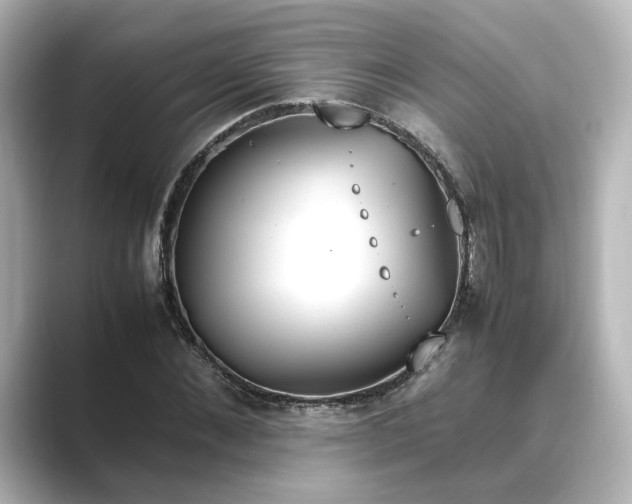 X0000089400876200706221115