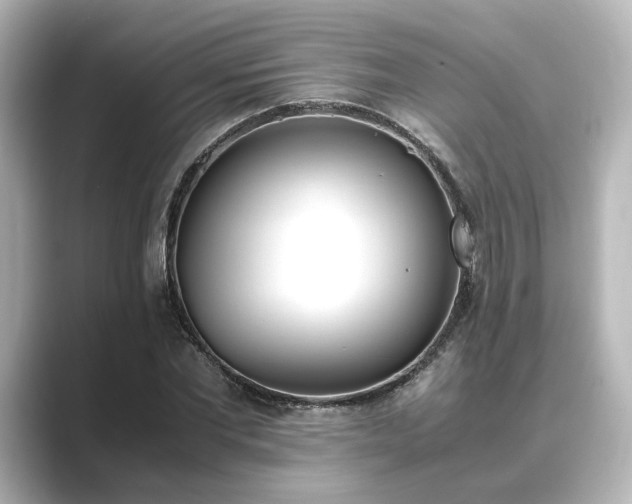 X0000089400877200706221115