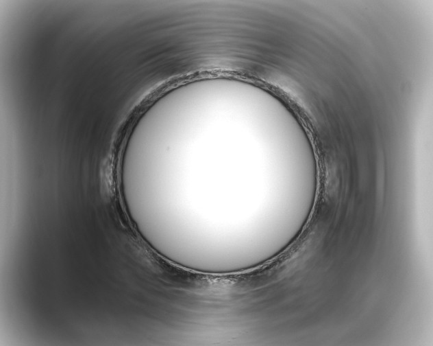 X0000089400878200706221115