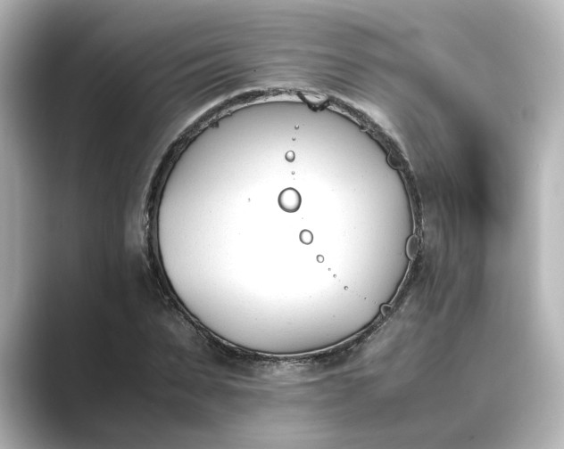 X0000089400879200706221115