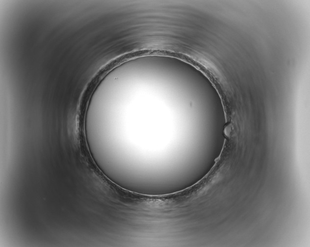 X0000089400880200706221115