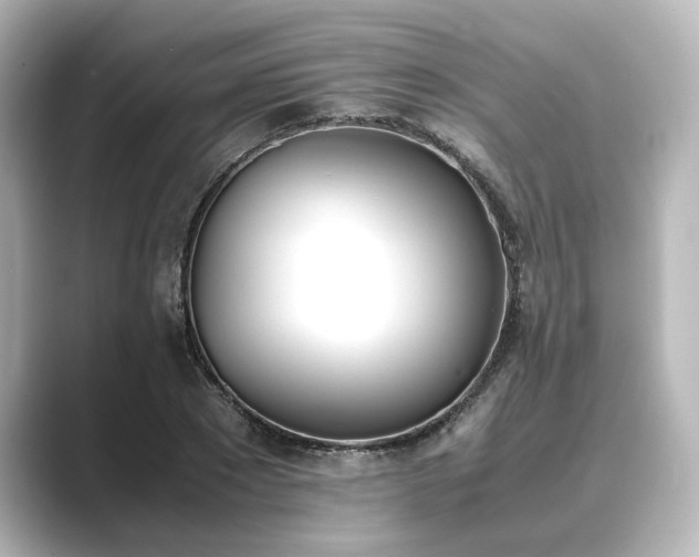 X0000089400881200706221115