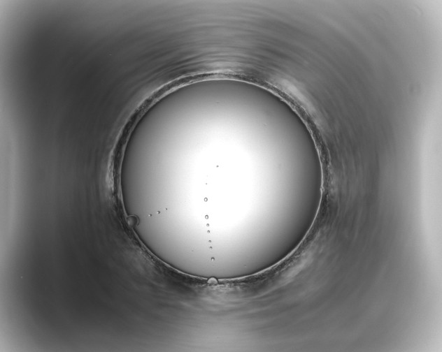 X0000089400883200706221115