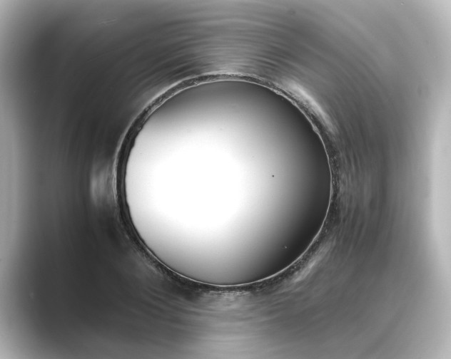 X0000089400884200706221115