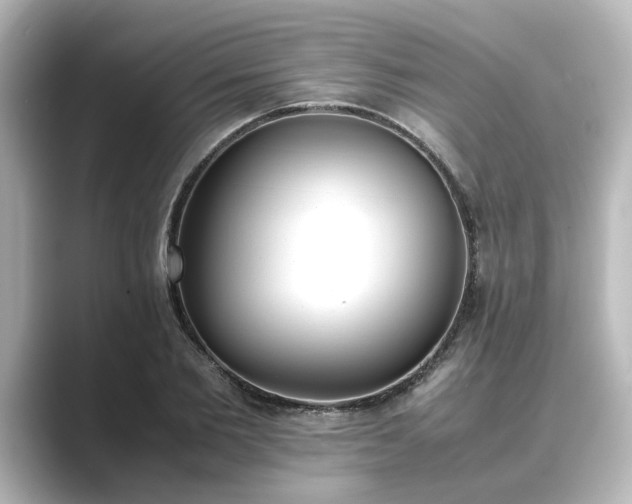 X0000089400885200706221115