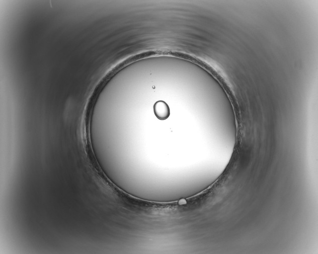 X0000089400887200706221115