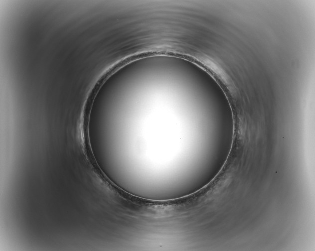 X0000089400888200706221115